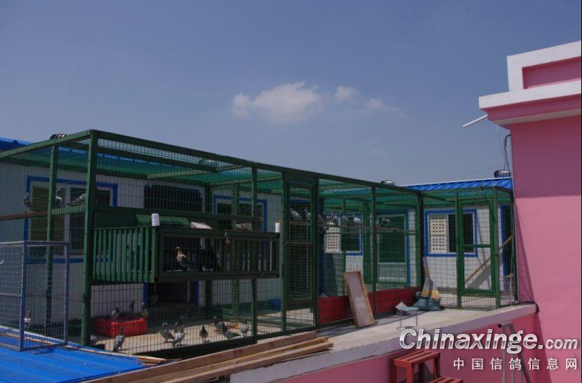 �깤�����������(ͼ)