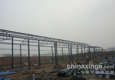 ����Ϯ���������ؽ��е�����(ͼ)