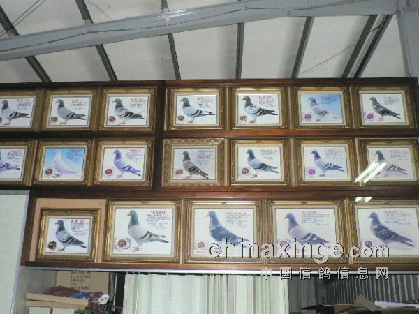 �߽�̨�塰�ǻ�֮��ʥ��(ͼ)