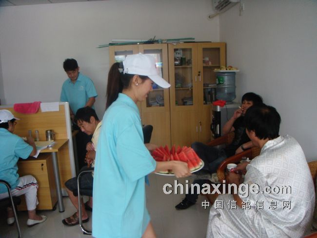 ����������Э�����񱭡��ڶ������(ͼ)