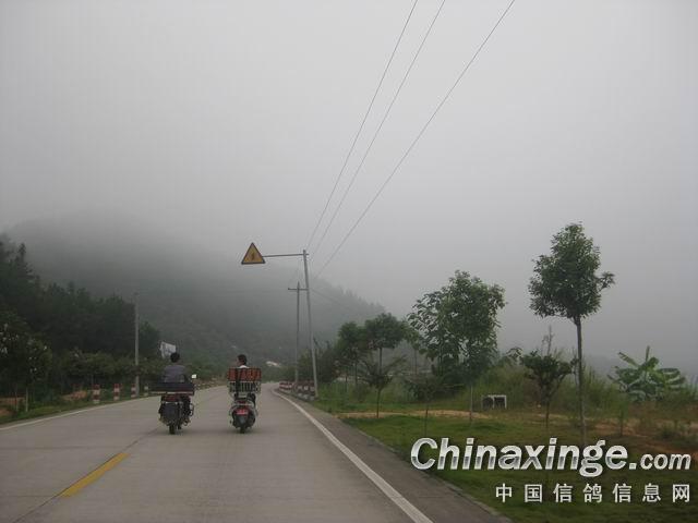 ��Ұɽ����ѵ(ͼ)