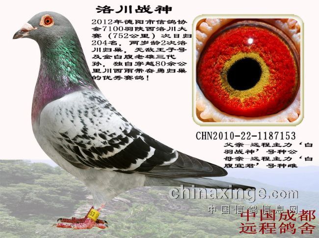 ͼ��˵�룺�����߰ٵ��չ�(֮��)