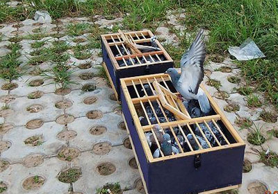 �����һѵ(ͼ)