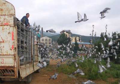 ������گ��������ѵ��20����(ͼ)