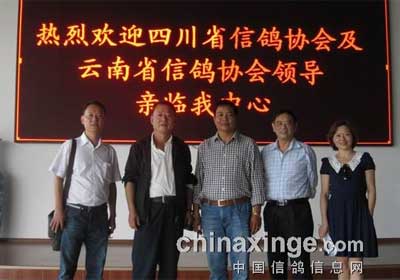 �Ĵ���ЭӦ�����������빫�￼��(ͼ)