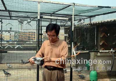 ����˫ܰ����ѧ(ͼ)