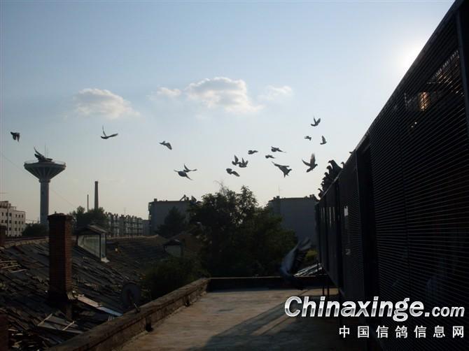 �������������(ͼ)