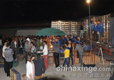 ͨ��������վ����8738��ս��������(ͼ)