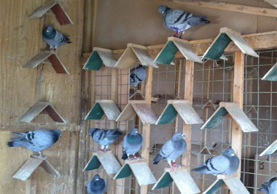 �������ܶȶ��ٲ����׼(ͼ)