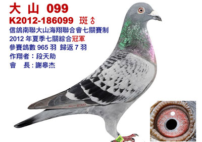 ̨���ļ��߹��ۺϹھ�����(ͼ)