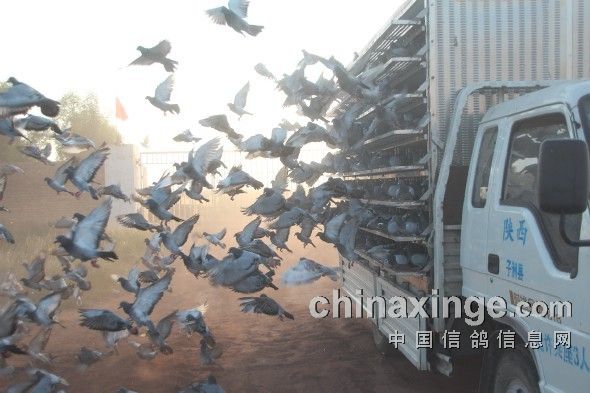 ������������ѵ�ŵ�һǹ(ͼ)