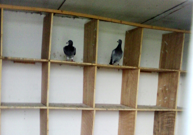 �����ˣ�