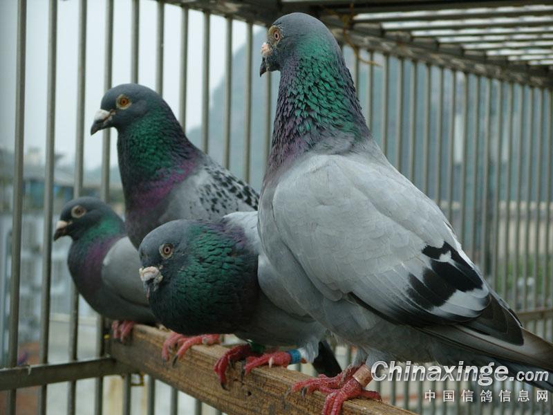 �ָ�һ������̬