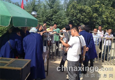 ������ƽ�＾����̽�����ֳ�(ͼ)