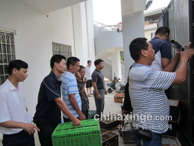 ��������������һǹ����(ͼ)