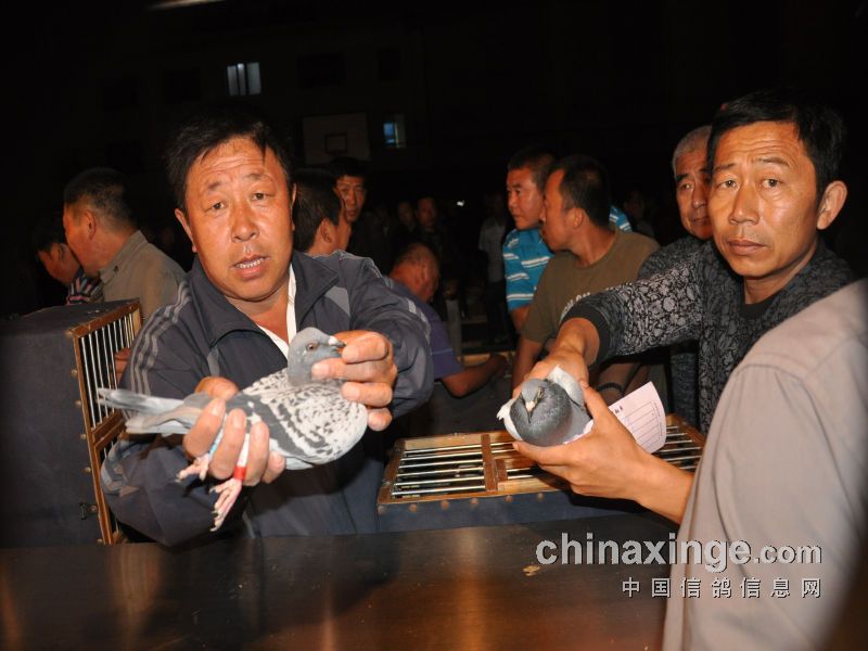 ͨ����������վ����11426�� �뽱ǧ��