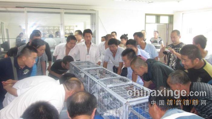 �������蹫��������2922��(ͼ)