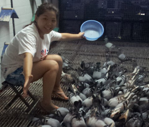 90����ü����(ͼ)