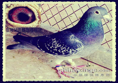 ���䡰�����影��(ͼ)