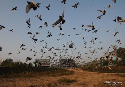 �������绯300�������ʵ��(ͼ)