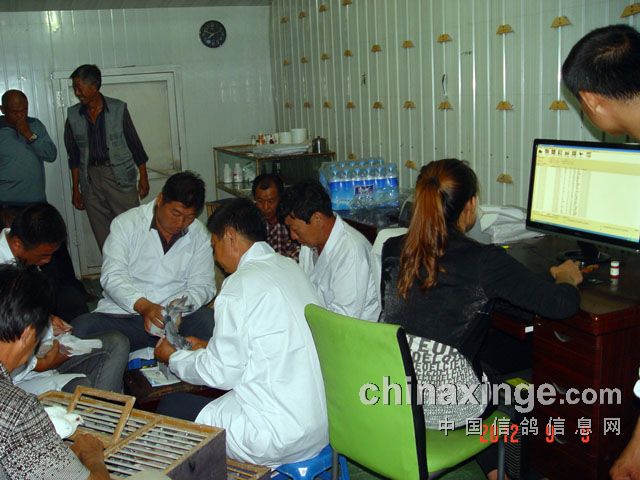 ��ͷ�о���������������(ͼ)