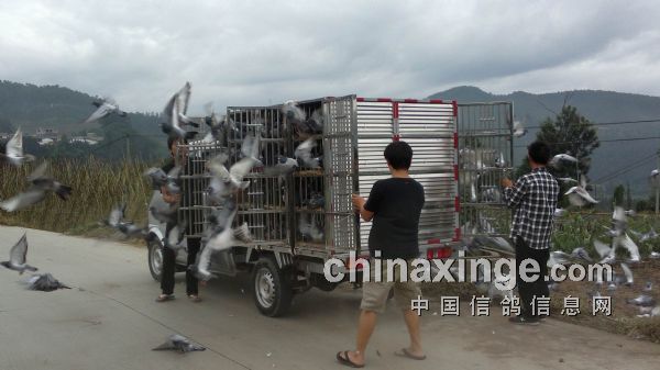 ������һվ5����(ͼ)