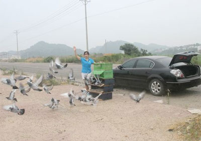 ��������(ͼ)