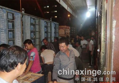 ��ͷ��300��������1.8����ŷ�