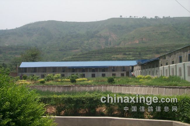 �������Ź����ɴ���תΪ����(ͼ)