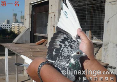 �ػʵ�������һվǰʮ�����(ͼ)