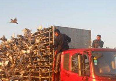 ���칫������Ǿ������Ӯ��(ͼ)