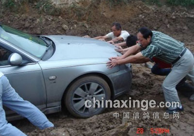 �����ٶ�����Ӯ�Һ�������(ͼ)