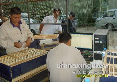 ������ɽ������������սǰʮ��(ͼ)