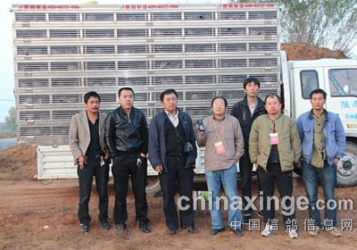 ��ľ���������ѵ��100����(ͼ)