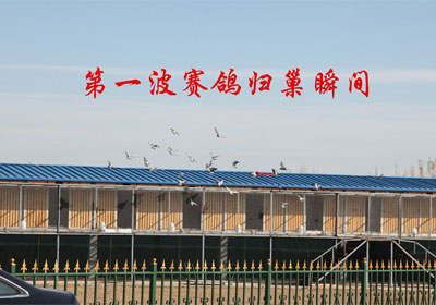 �½����������׽���������ͼ��