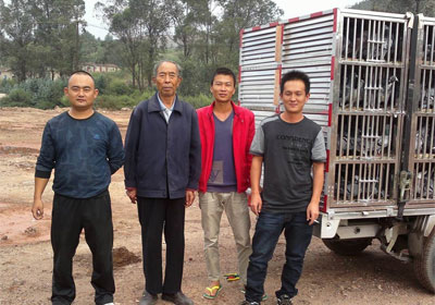 20����ѵ�ţ�80���ϻ᳤���(ͼ)