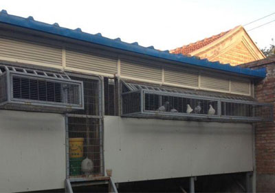 80������С����(ͼ)