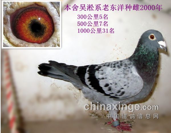 �����ָ������������