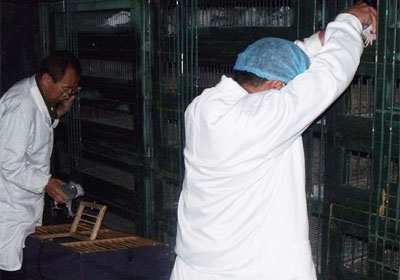 ���ͺ�����ʢ����Ԥ���ɼ�(ͼ)