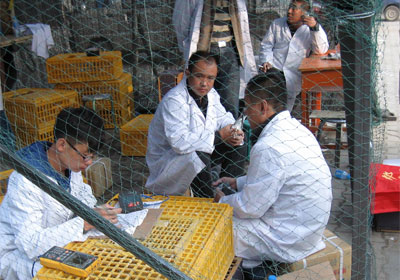 ��ͷ��400����1.2��������ɼ���¯