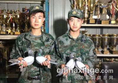 ������ƽ200�����ٶ������(ͼ)