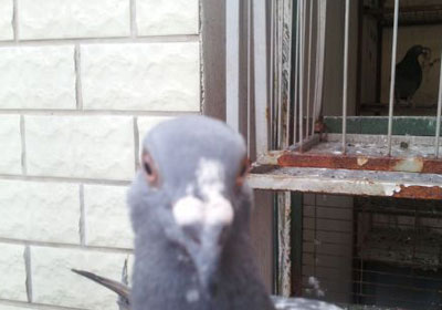 У���Ÿ���ɰ����̫�����ˣ�