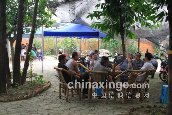 �ɶ�����������վϲӭ�������(ͼ)