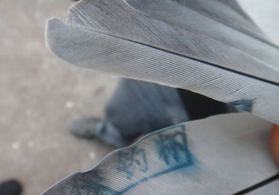 ��ɽ��ˮ������ǰʮ�����(ͼ)