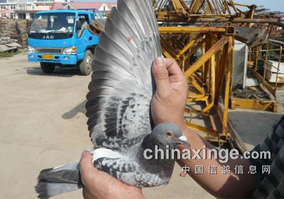 �ػʵ���һվǰʮ������(ͼ)