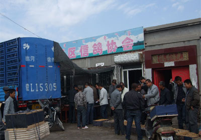 �ٺӸ��Ԥ��4791����ʱ�ɼ�(ͼ)