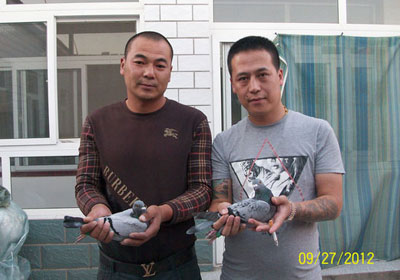 �����������320����ǰʮ�����(ͼ)