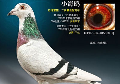 ����з�(��)