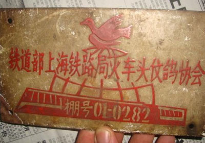 50����������(ͼ)