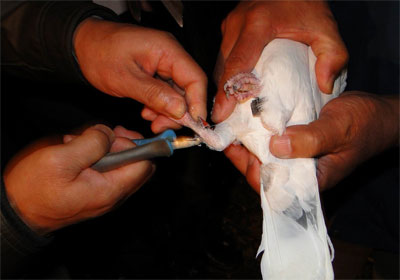 ³�ǹ����δ���Ѹ��޻�����(ͼ)